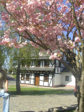 Отель Ferienhaus Schmitt  Бельтайм